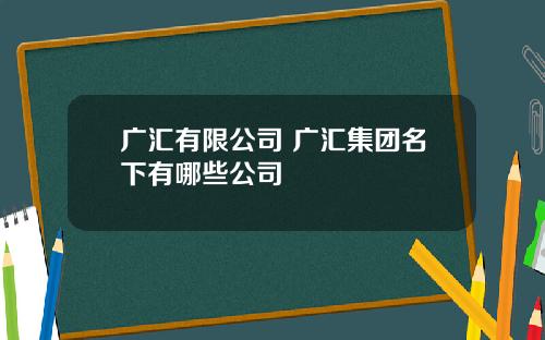 广汇有限公司 广汇集团名下有哪些公司