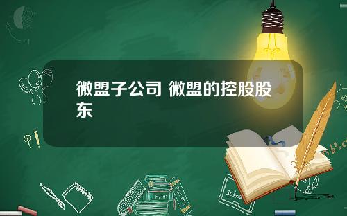微盟子公司 微盟的控股股东