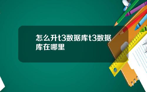 怎么升t3数据库t3数据库在哪里