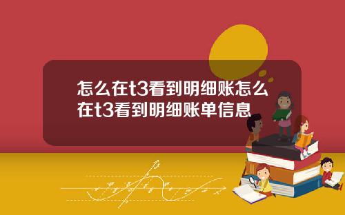 怎么在t3看到明细账怎么在t3看到明细账单信息