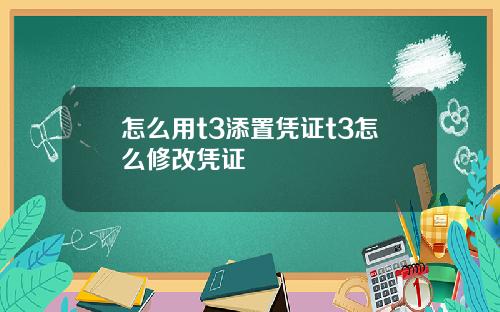 怎么用t3添置凭证t3怎么修改凭证