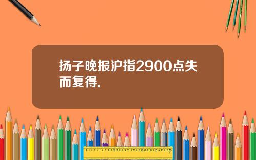 扬子晚报沪指2900点失而复得.
