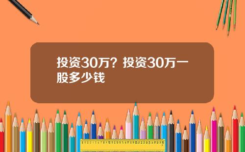 投资30万？投资30万一股多少钱