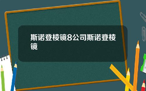 斯诺登棱镜8公司斯诺登棱镜
