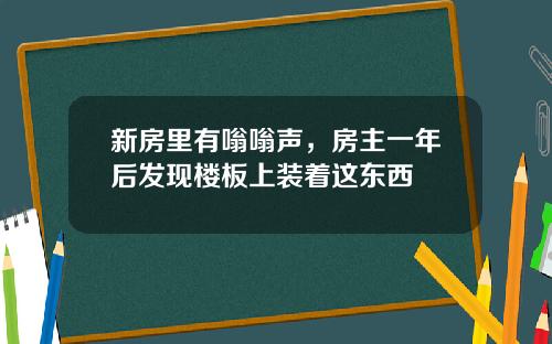 新房里有嗡嗡声，房主一年后发现楼板上装着这东西