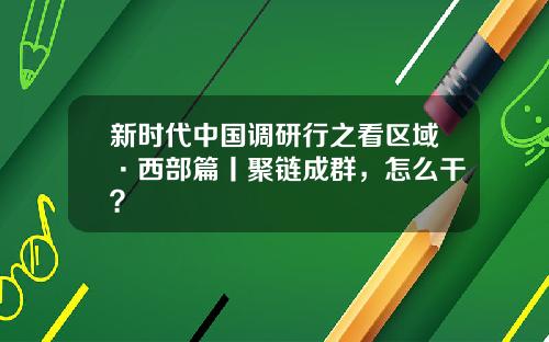 新时代中国调研行之看区域·西部篇丨聚链成群，怎么干？