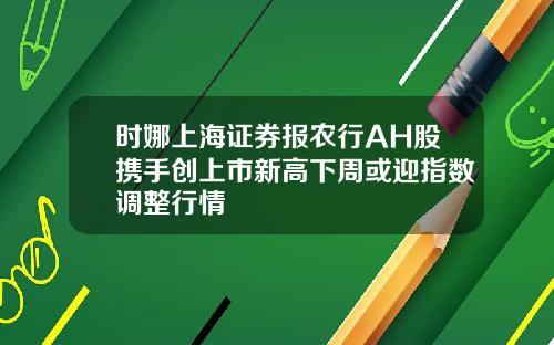 时娜上海证券报农行AH股携手创上市新高下周或迎指数调整行情