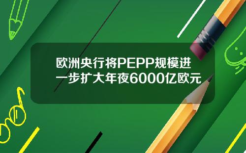 欧洲央行将PEPP规模进一步扩大年夜6000亿欧元