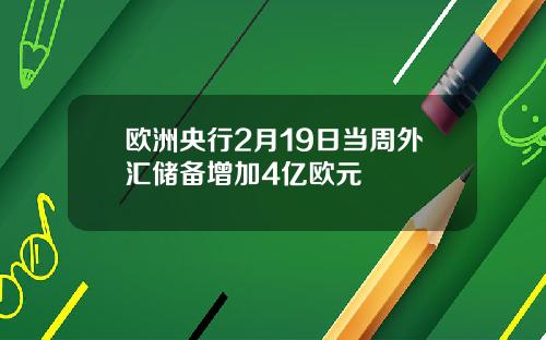 欧洲央行2月19日当周外汇储备增加4亿欧元