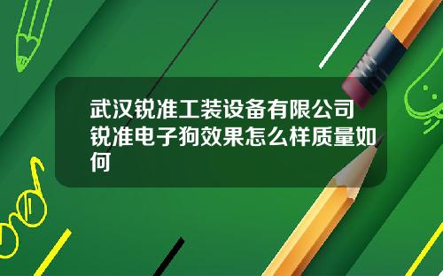 武汉锐准工装设备有限公司锐准电子狗效果怎么样质量如何