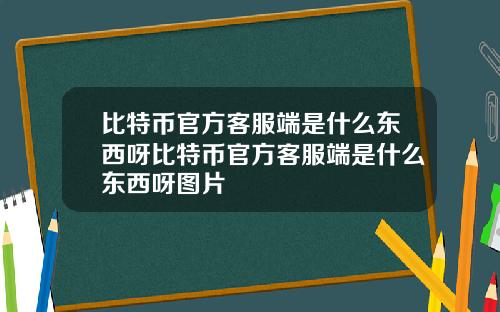 比特币官方客服端是什么东西呀比特币官方客服端是什么东西呀图片