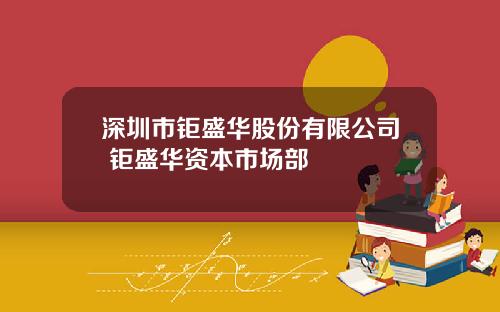 深圳市钜盛华股份有限公司 钜盛华资本市场部