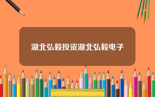 湖北弘毅投资湖北弘毅电子