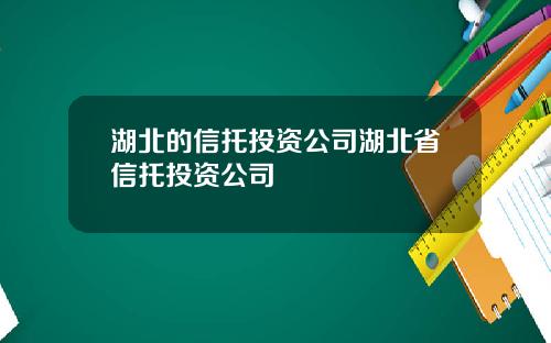 湖北的信托投资公司湖北省信托投资公司