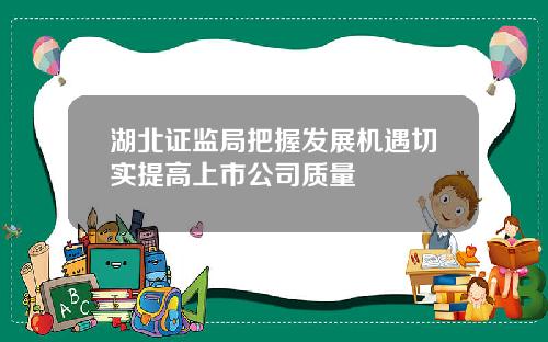 湖北证监局把握发展机遇切实提高上市公司质量