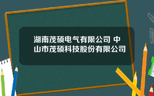 湖南茂硕电气有限公司 中山市茂硕科技股份有限公司