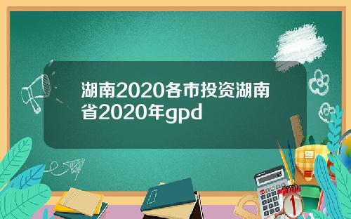 湖南2020各市投资湖南省2020年gpd