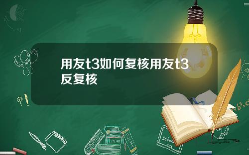 用友t3如何复核用友t3反复核