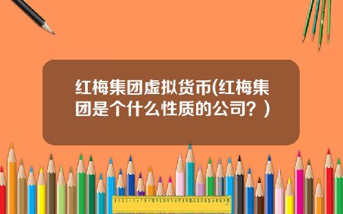 红梅集团虚拟货币(红梅集团是个什么性质的公司？)