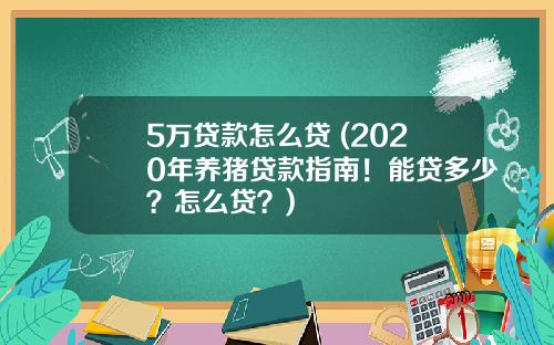 5万贷款怎么贷 (2020年养猪贷款指南！能贷多少？怎么贷？)