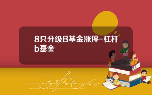 8只分级B基金涨停-杠杆b基金