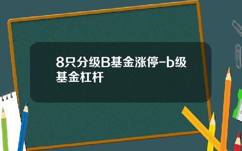 8只分级B基金涨停-b级基金杠杆