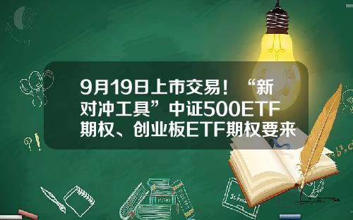 9月19日上市交易！“新对冲工具”中证500ETF期权、创业板ETF期权要来了-对冲基金上市