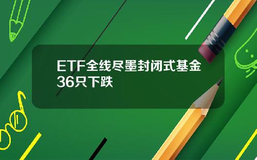 ETF全线尽墨封闭式基金36只下跌