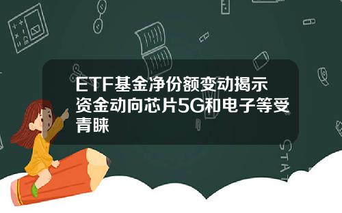 ETF基金净份额变动揭示资金动向芯片5G和电子等受青睐