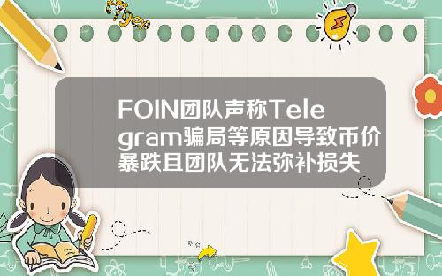 FOIN团队声称Telegram骗局等原因导致币价暴跌且团队无法弥补损失