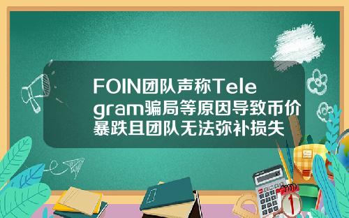 FOIN团队声称Telegram骗局等原因导致币价暴跌且团队无法弥补损失