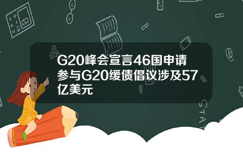 G20峰会宣言46国申请参与G20缓债倡议涉及57亿美元