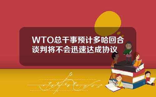 WTO总干事预计多哈回合谈判将不会迅速达成协议