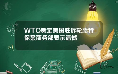 WTO裁定美国胜诉轮胎特保案商务部表示遗憾