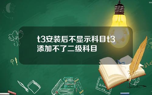 t3安装后不显示科目t3添加不了二级科目