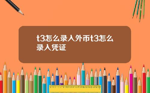t3怎么录入外币t3怎么录入凭证