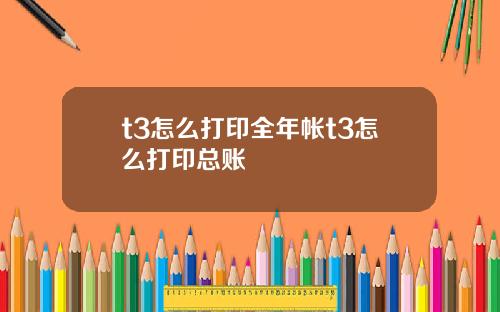 t3怎么打印全年帐t3怎么打印总账