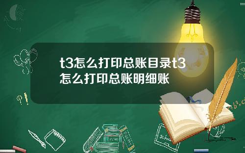 t3怎么打印总账目录t3怎么打印总账明细账