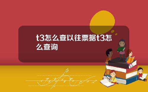 t3怎么查以往票据t3怎么查询