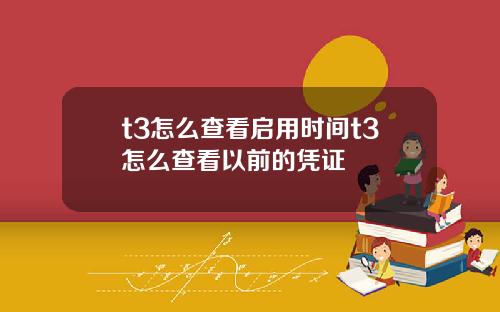 t3怎么查看启用时间t3怎么查看以前的凭证