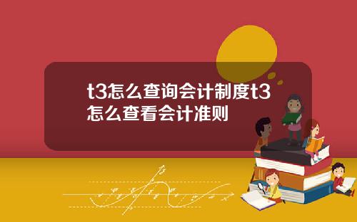 t3怎么查询会计制度t3怎么查看会计准则