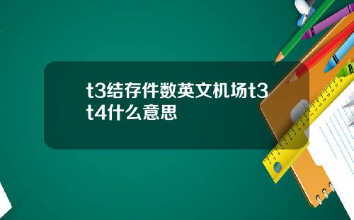 t3结存件数英文机场t3t4什么意思
