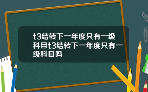 t3结转下一年度只有一级科目t3结转下一年度只有一级科目吗