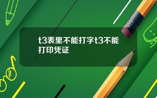 t3表里不能打字t3不能打印凭证