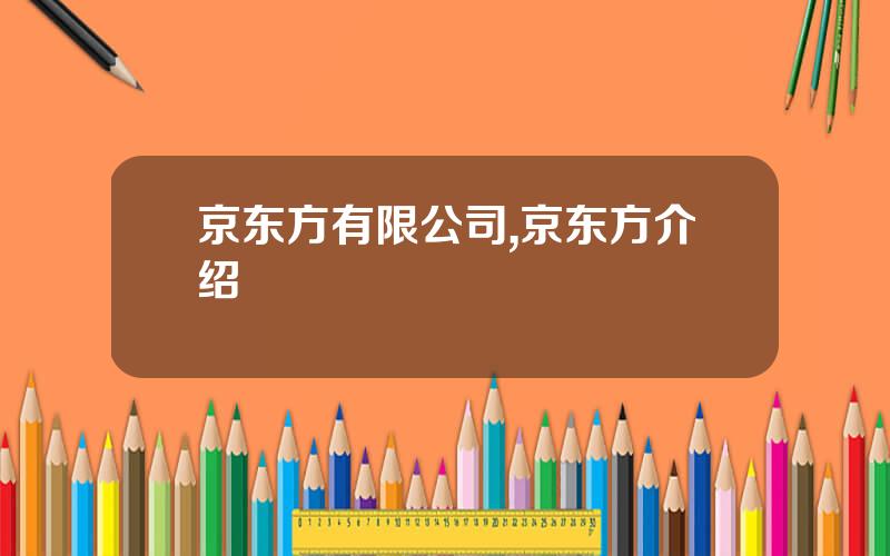 京东方有限公司,京东方介绍