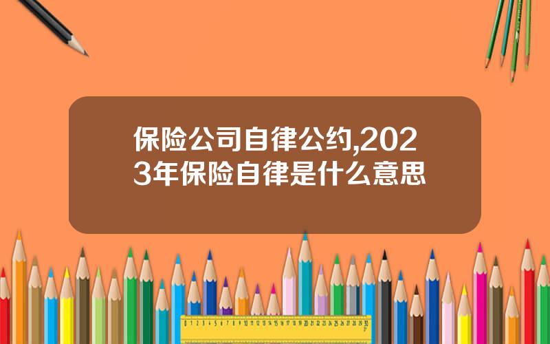 保险公司自律公约,2023年保险自律是什么意思