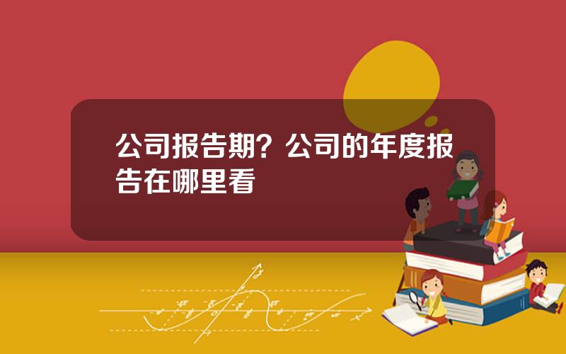 公司报告期？公司的年度报告在哪里看