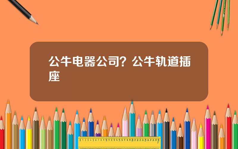 公牛电器公司？公牛轨道插座