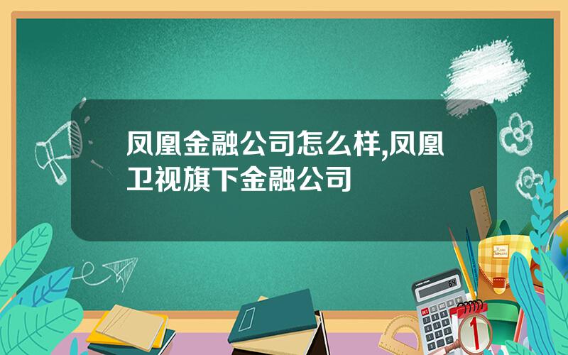 凤凰金融公司怎么样,凤凰卫视旗下金融公司