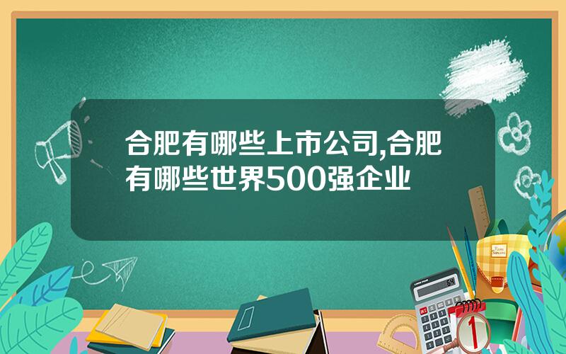 合肥有哪些上市公司,合肥有哪些世界500强企业